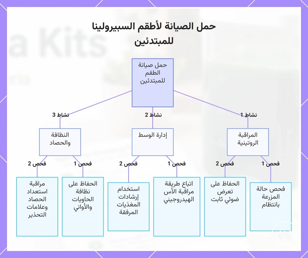 حمل الصيانة لأطقم السبيرولينا للمبتدئين