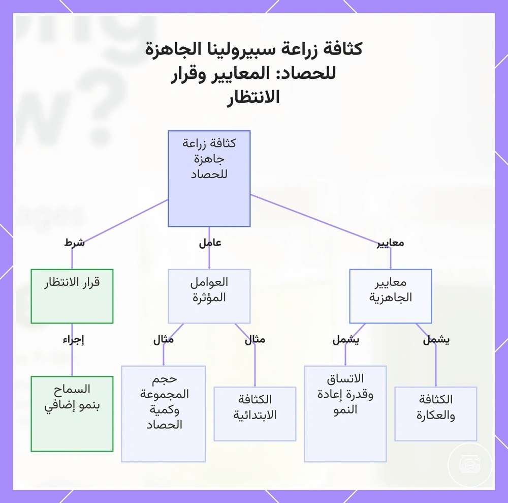 كثافة زراعة سبيرولينا الجاهزة للحصاد: المعايير وقرار الانتظار