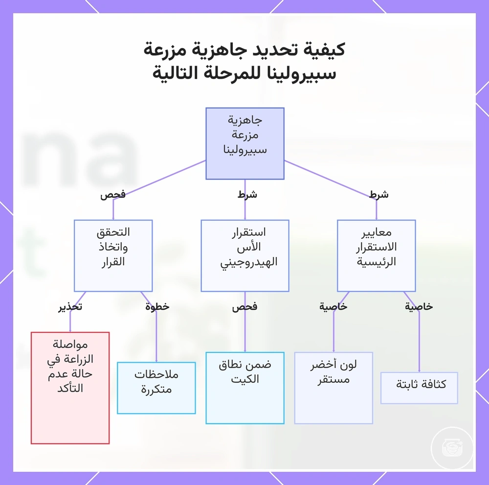 كيفية تحديد جاهزية مزرعة سبيرولينا للمرحلة التالية