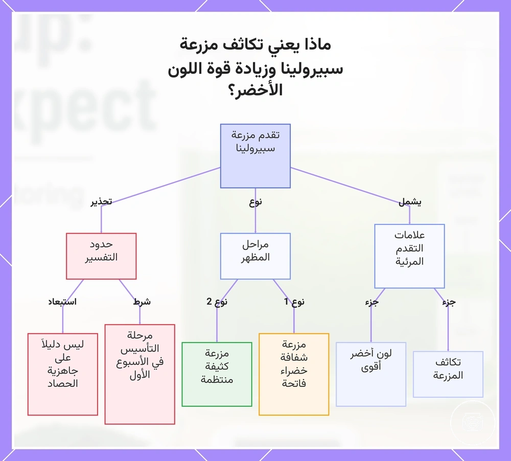 ماذا يعني تكاثف مزرعة سبيرولينا وزيادة قوة اللون الأخضر؟