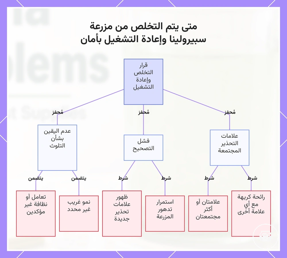 متى يتم التخلص من مزرعة سبيرولينا وإعادة التشغيل بأمان