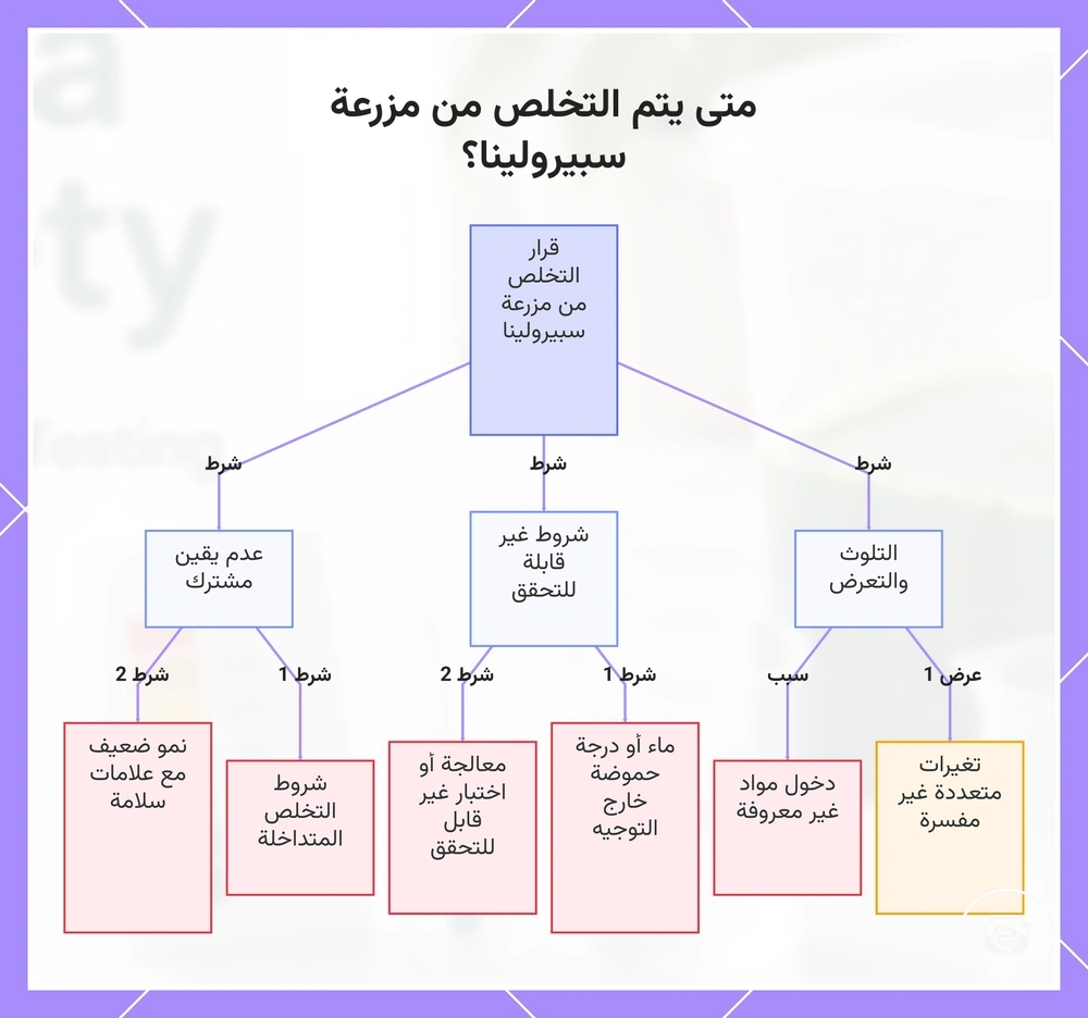 متى يتم التخلص من مزرعة سبيرولينا؟