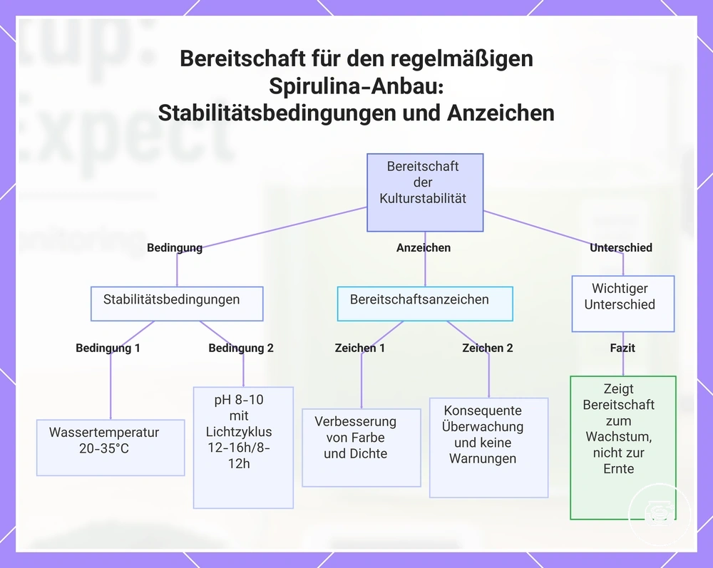 Bereitschaft für den regelmäßigen Spirulina-Anbau: Stabilitätsbedingungen und Anzeichen