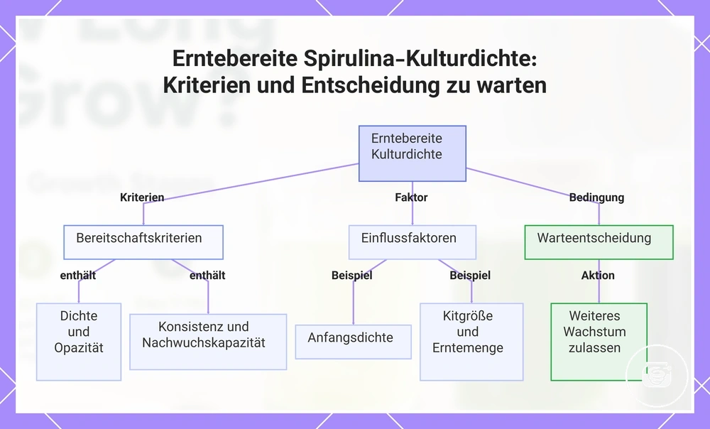 Erntebereite Spirulina-Kulturdichte: Kriterien und Entscheidung zu warten