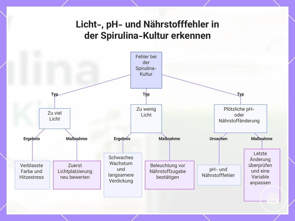 Licht-, pH- und Nährstofffehler in der Spirulina-Kultur erkennen