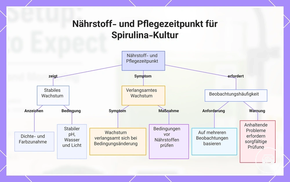 Nährstoff- und Pflegezeitpunkt für Spirulina-Kultur