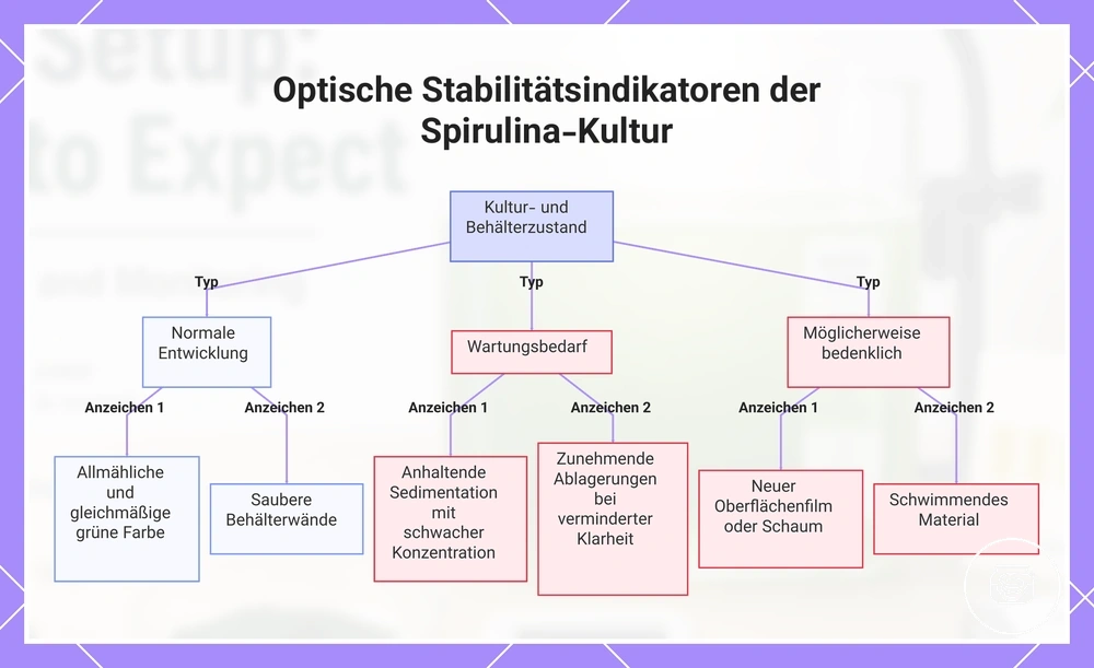 Optische Stabilitätsindikatoren der Spirulina-Kultur