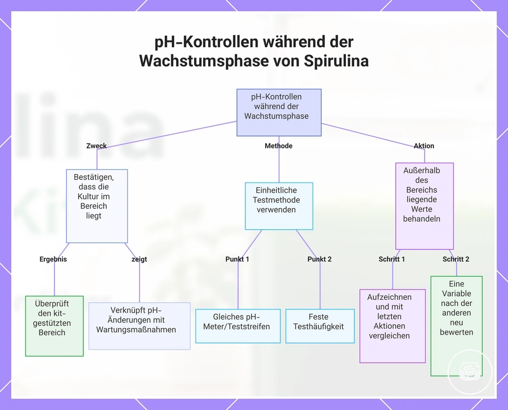 pH-Kontrollen während der Wachstumsphase von Spirulina
