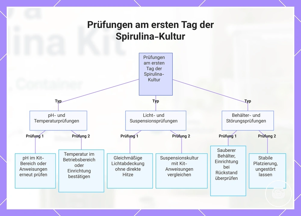 Prüfungen am ersten Tag der Spirulina-Kultur