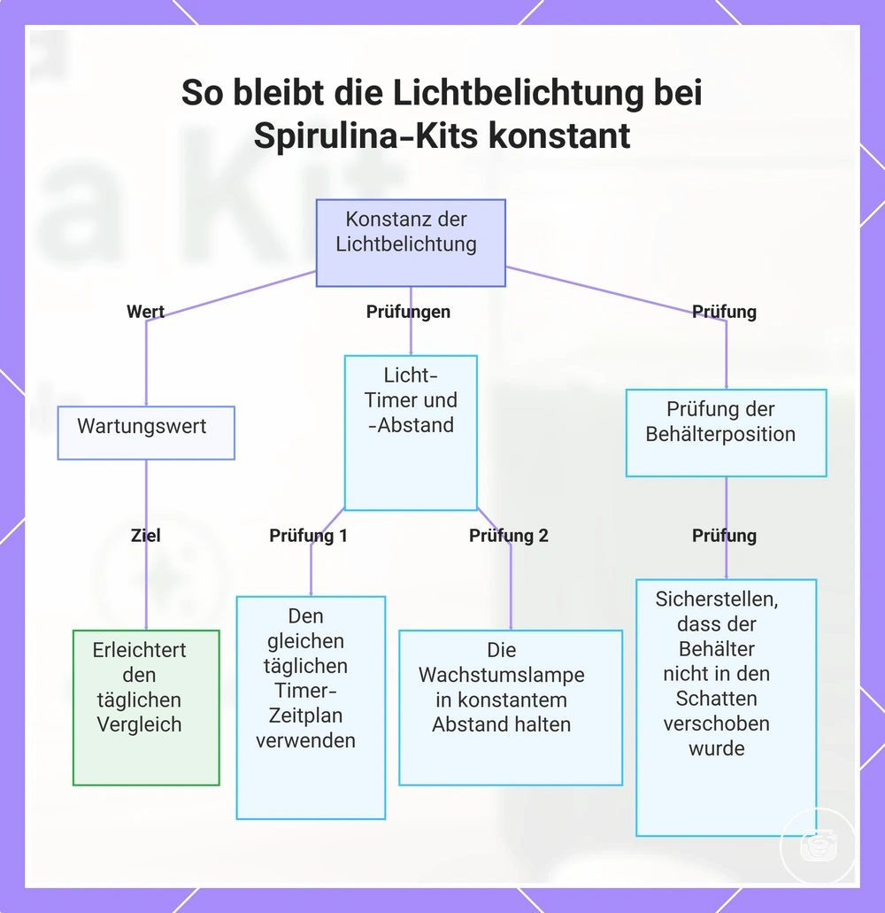 So bleibt die Lichtbelichtung bei Spirulina-Kits konstant