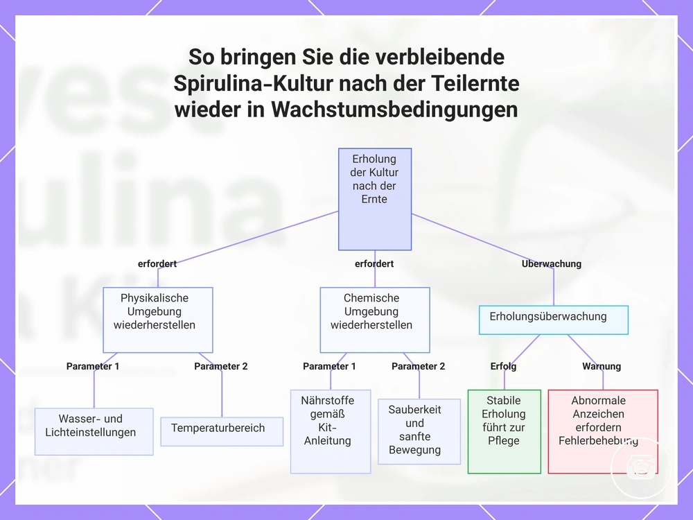So bringen Sie die verbleibende Spirulina-Kultur nach der Teilernte wieder in Wachstumsbedingungen