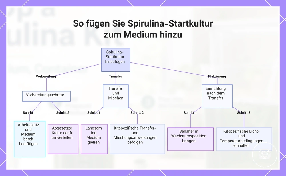 So fügen Sie Spirulina-Startkultur zum Medium hinzu