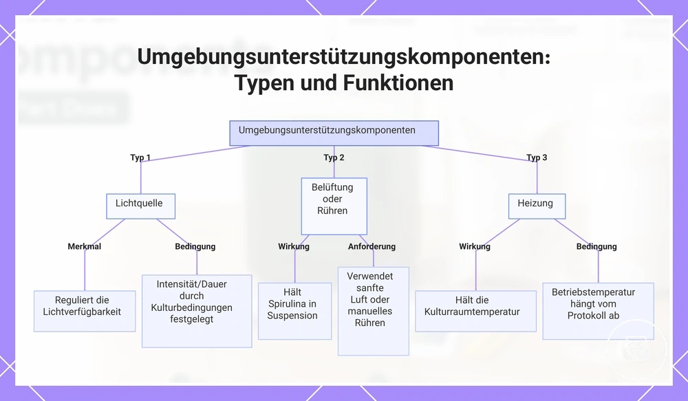 Umgebungsunterstützungskomponenten: Typen und Funktionen