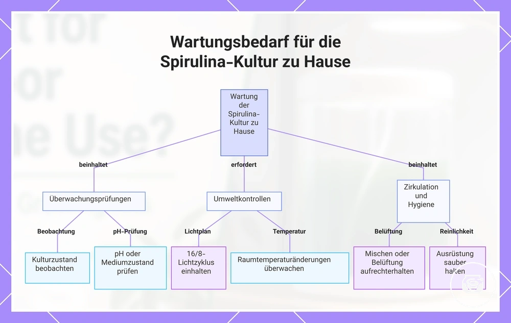 Wartungsbedarf für die Spirulina-Kultur zu Hause