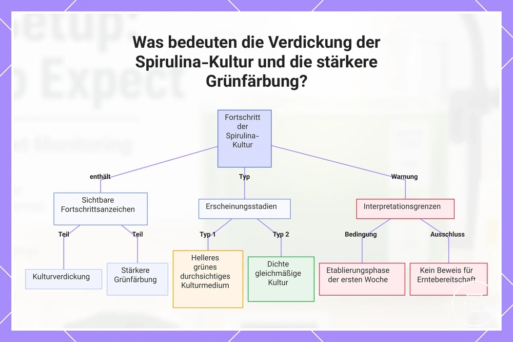 Was bedeuten die Verdickung der Spirulina-Kultur und die stärkere Grünfärbung?