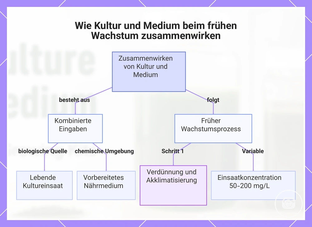 Wie Kultur und Medium beim frühen Wachstum zusammenwirken