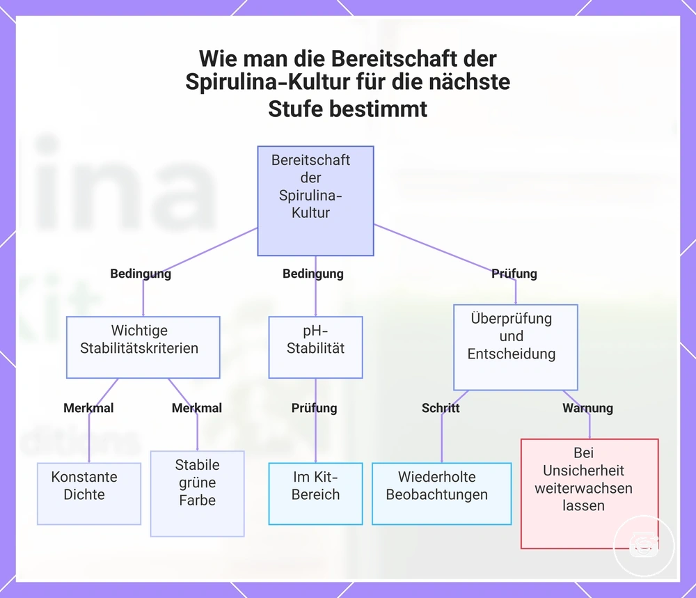 Wie man die Bereitschaft der Spirulina-Kultur für die nächste Stufe bestimmt