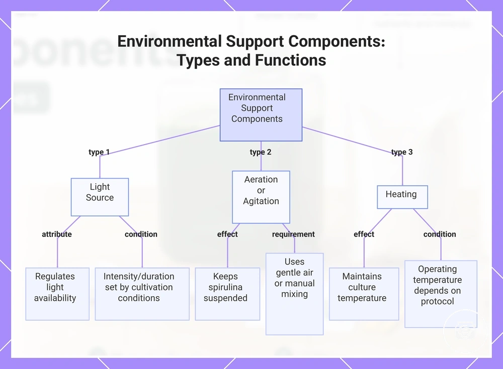 Environmental Support Components: Types and Functions