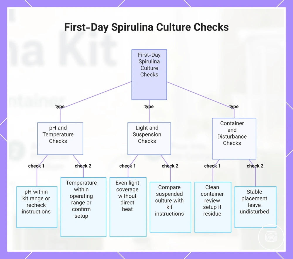 First-Day Spirulina Culture Checks