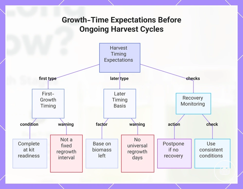 Growth-Time Expectations Before Ongoing Harvest Cycles