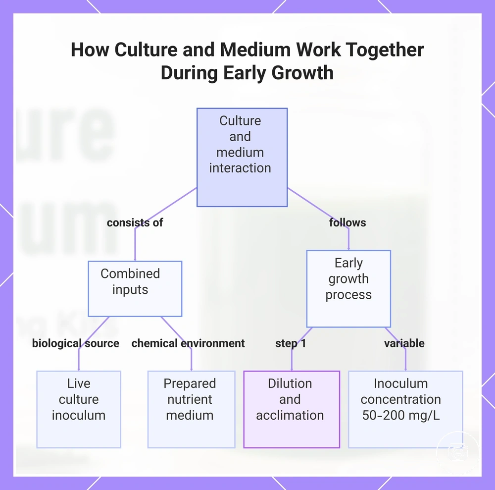 How Culture and Medium Work Together During Early Growth