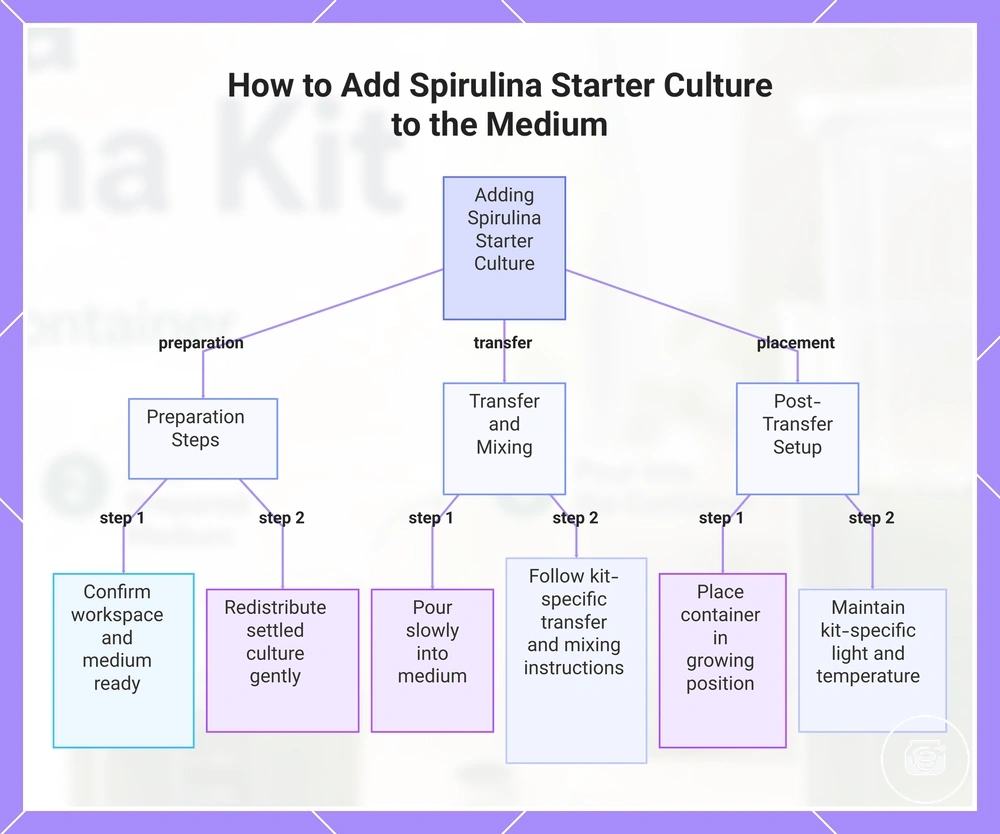 How to Add Spirulina Starter Culture to the Medium