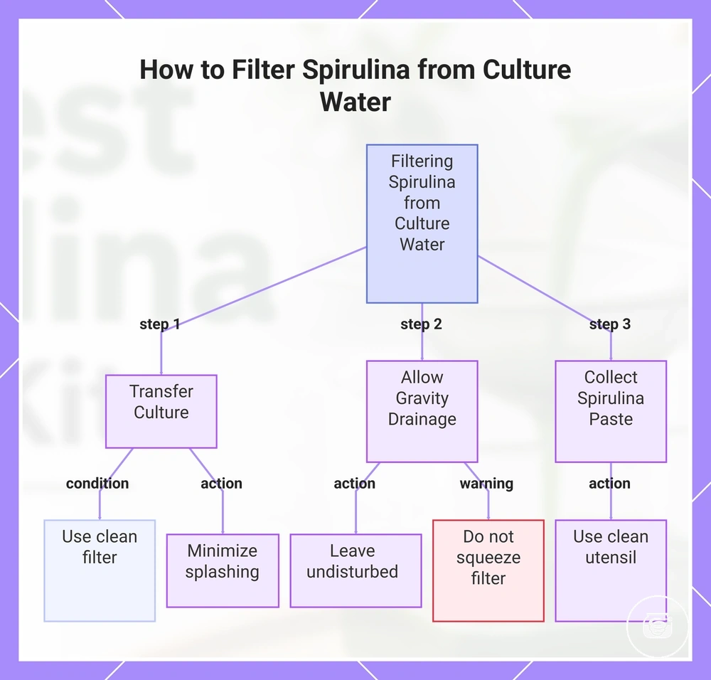 How to Filter Spirulina from Culture Water