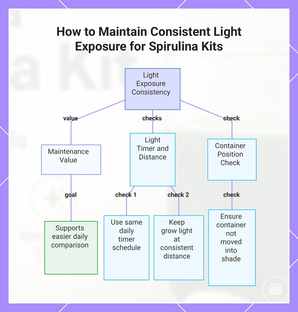 How to Maintain Consistent Light Exposure for Spirulina Kits