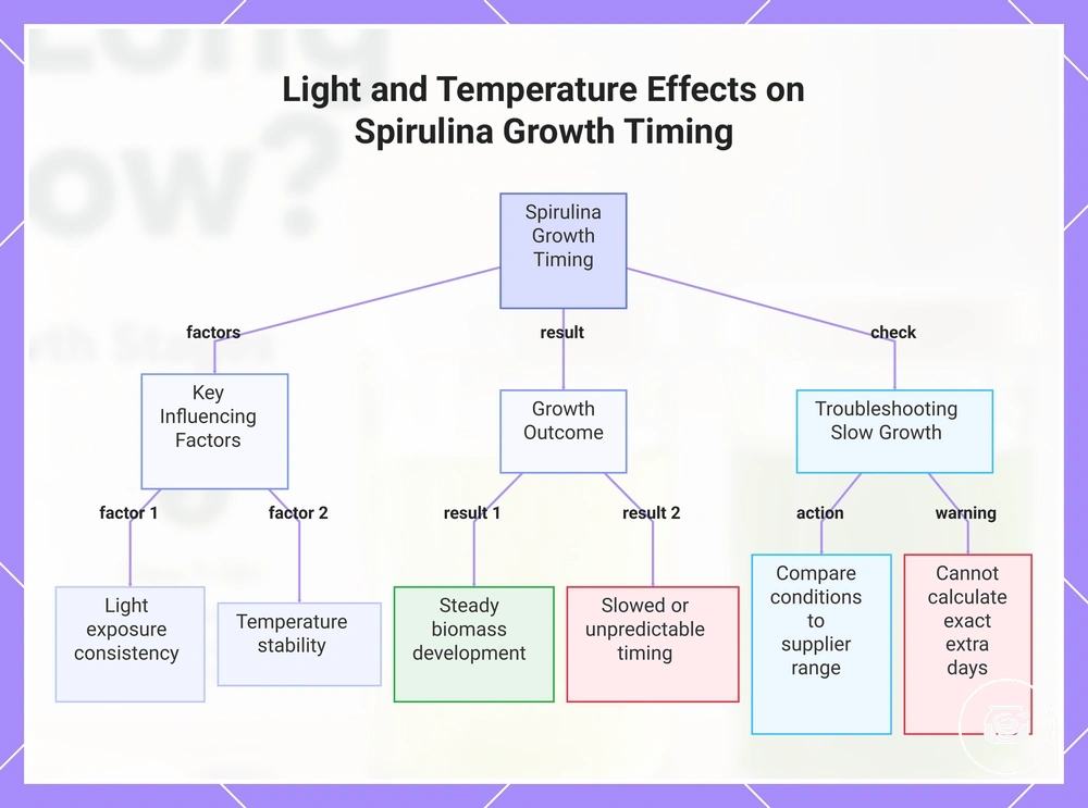 Light and Temperature Effects on Spirulina Growth Timing