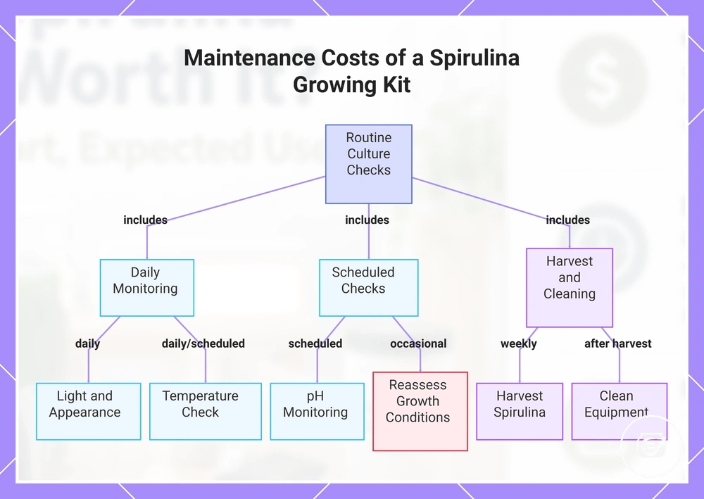 Maintenance Costs of a Spirulina Growing Kit