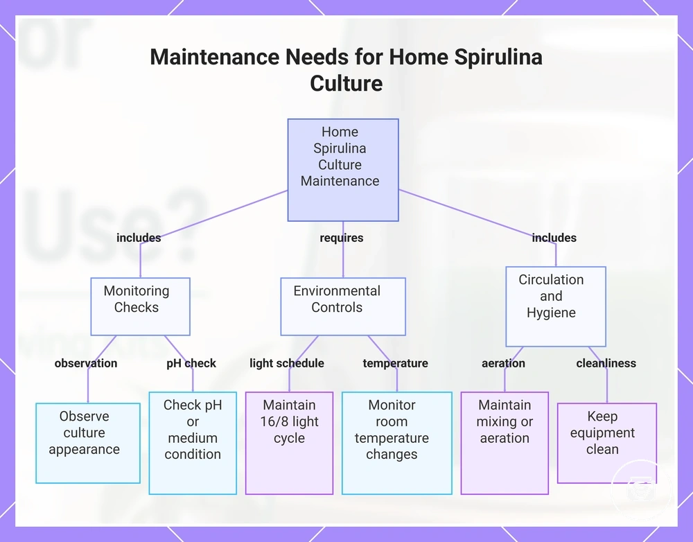 Maintenance Needs for Home Spirulina Culture