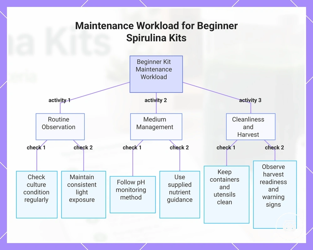Maintenance Workload for Beginner Spirulina Kits