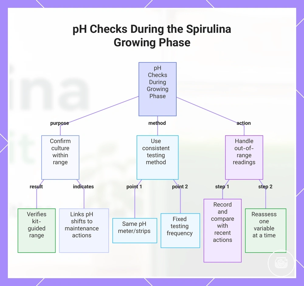 pH Checks During the Spirulina Growing Phase