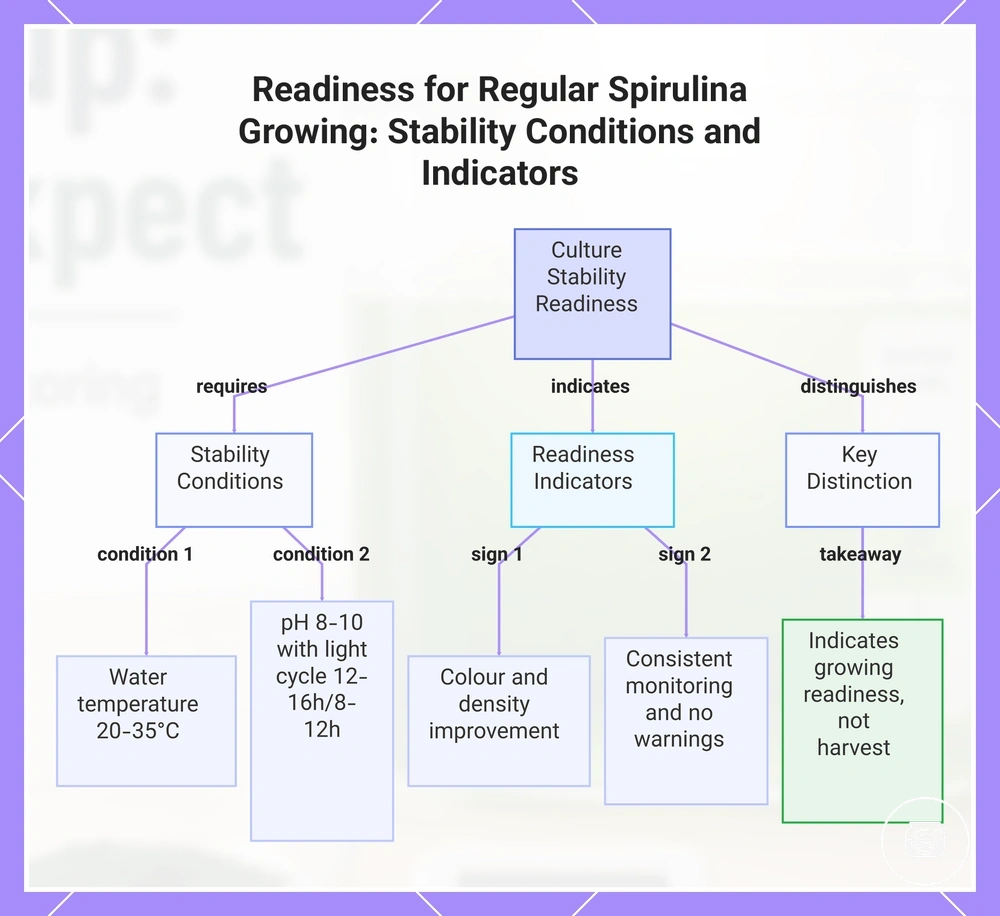 Readiness for Regular Spirulina Growing: Stability Conditions and Indicators