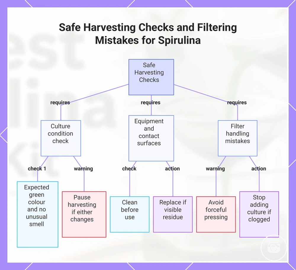 Safe Harvesting Checks and Filtering Mistakes for Spirulina