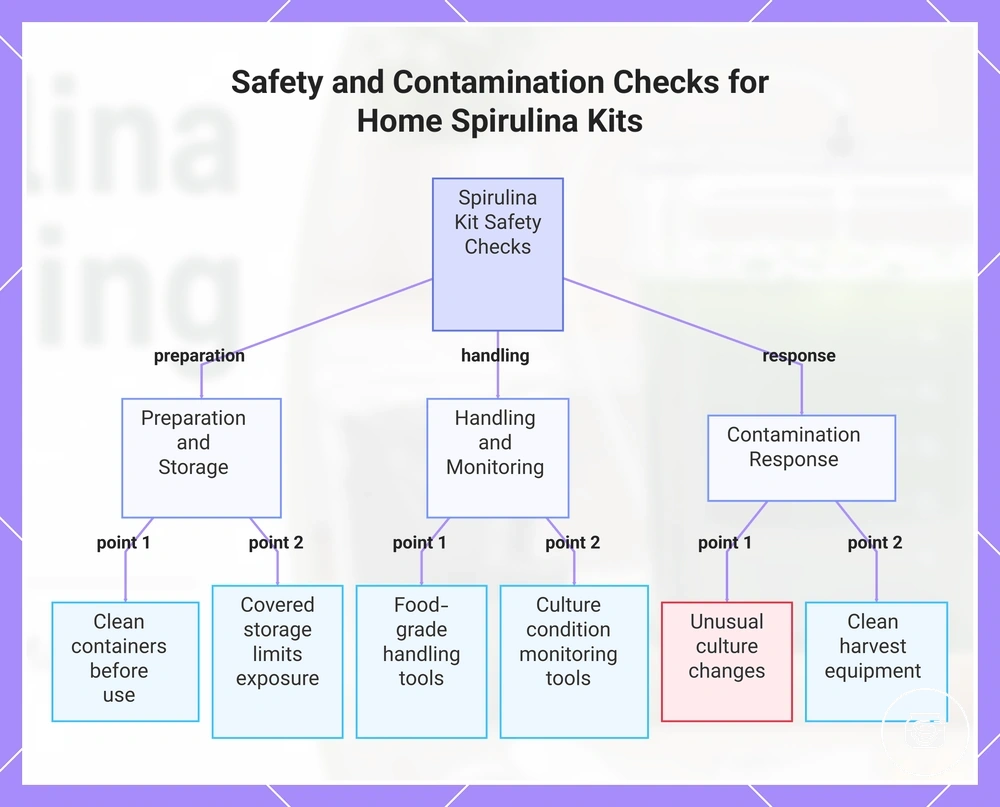 Safety and Contamination Checks for Home Spirulina Kits