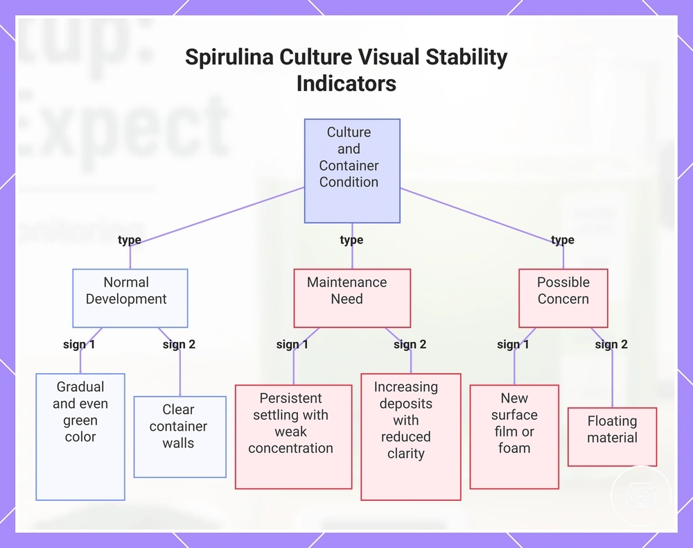 Spirulina Culture Visual Stability Indicators