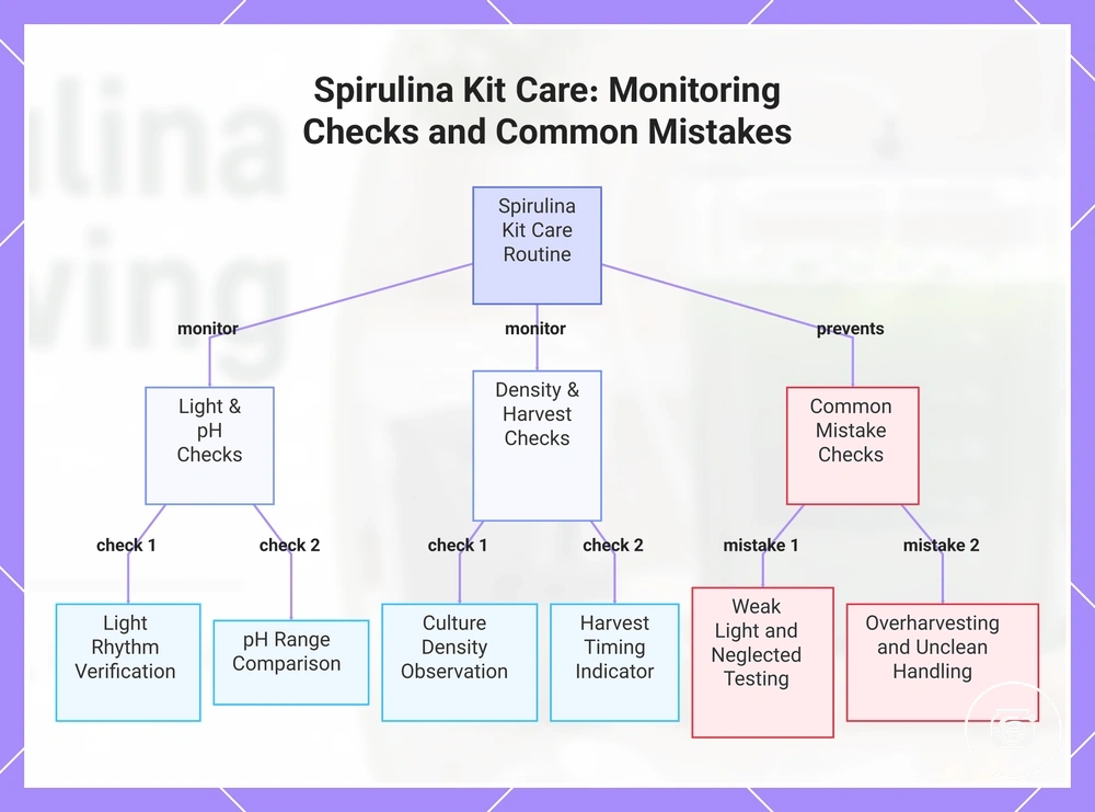 Spirulina Kit Care: Monitoring Checks and Common Mistakes