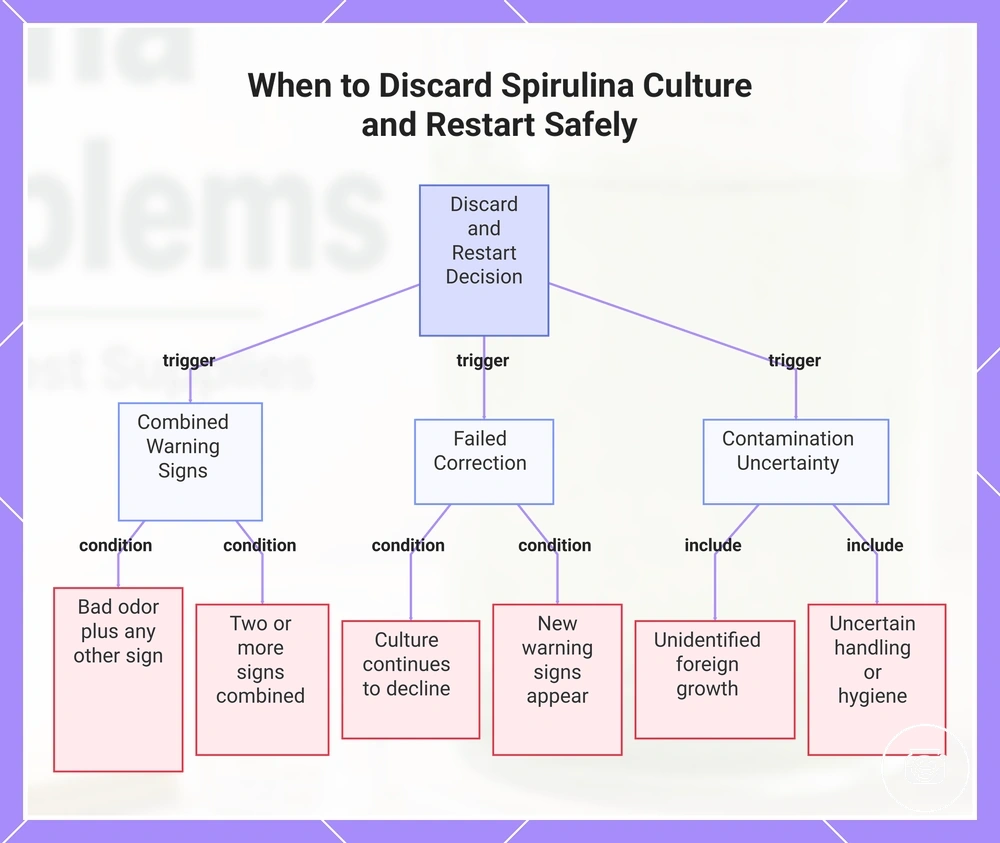 When to Discard Spirulina Culture and Restart Safely