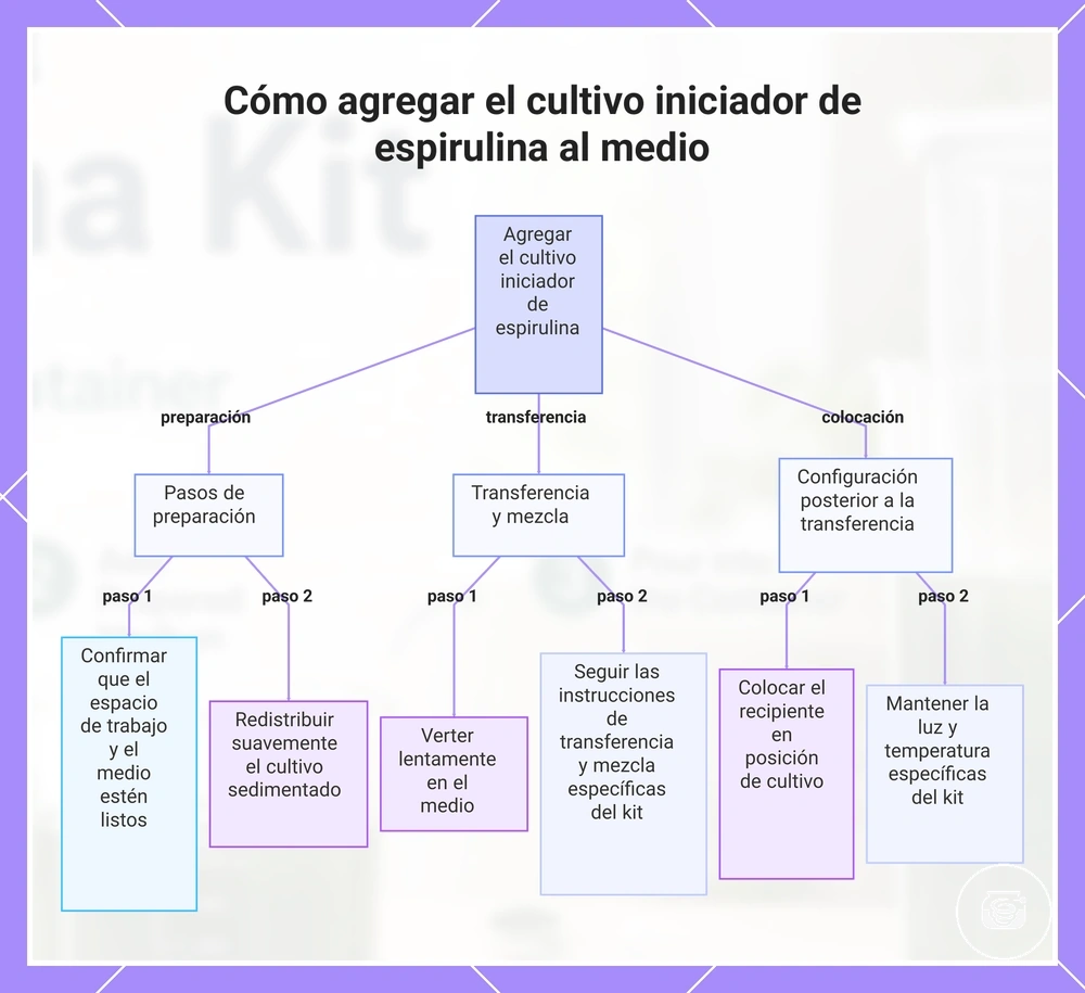Cómo agregar el cultivo iniciador de espirulina al medio