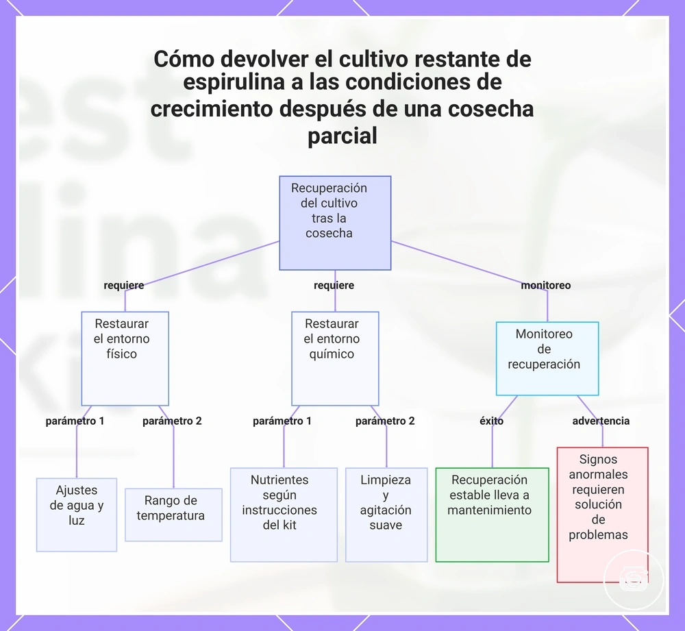 Cómo devolver el cultivo restante de espirulina a las condiciones de crecimiento después de una cosecha parcial