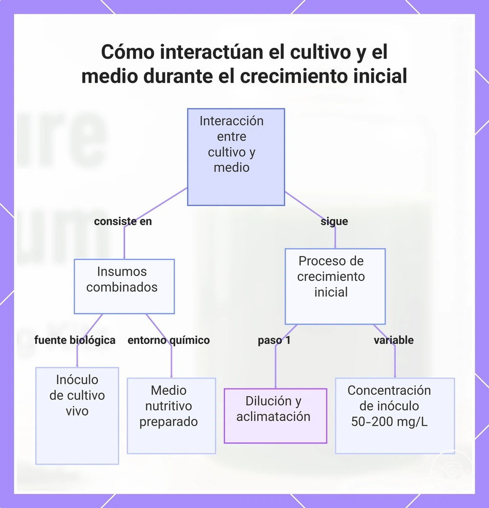 Cómo interactúan el cultivo y el medio durante el crecimiento inicial