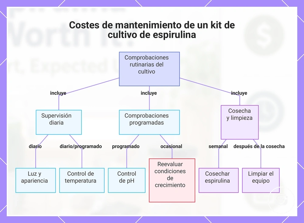 Costes de mantenimiento de un kit de cultivo de espirulina