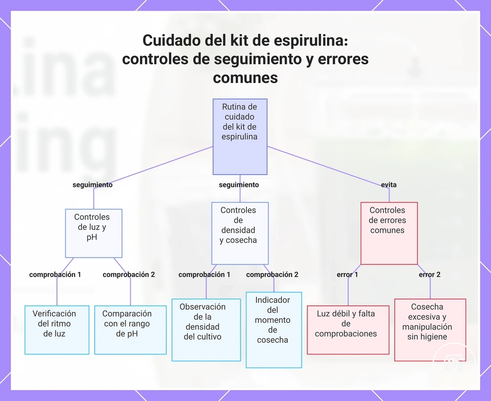 Cuidado del kit de espirulina: controles de seguimiento y errores comunes