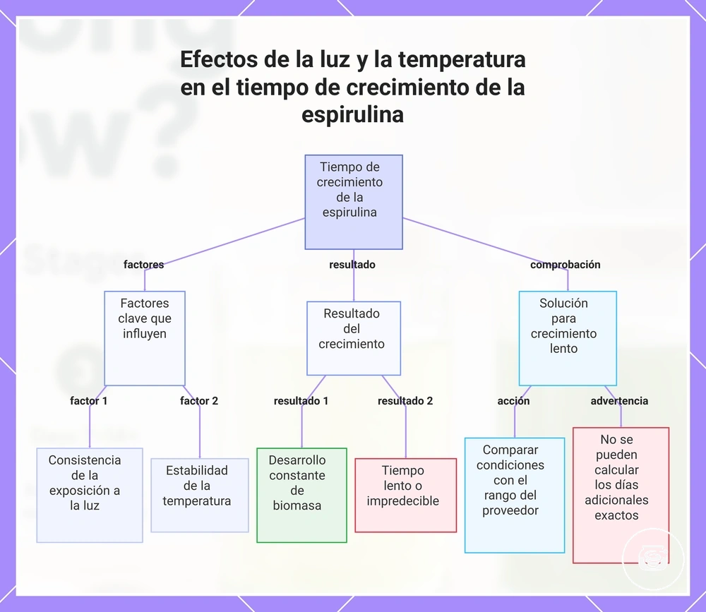 Efectos de la luz y la temperatura en el tiempo de crecimiento de la espirulina