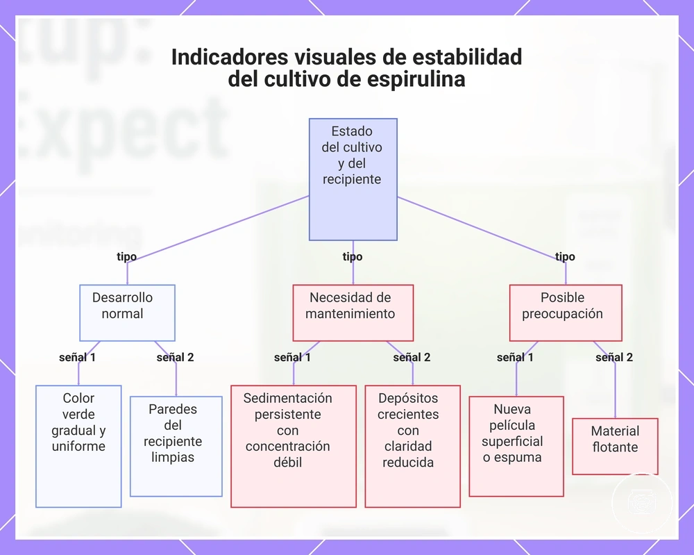 Indicadores visuales de estabilidad del cultivo de espirulina