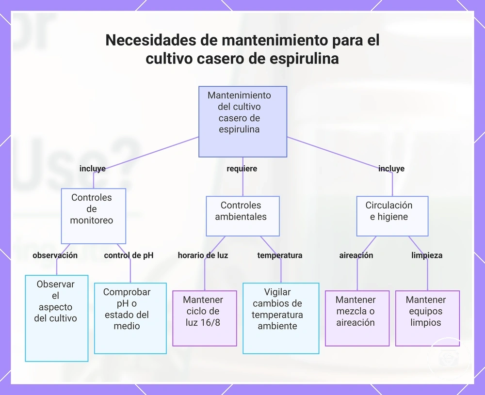 Necesidades de mantenimiento para el cultivo casero de espirulina