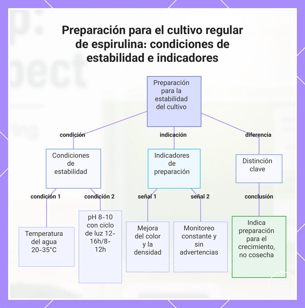 Preparación para el cultivo regular de espirulina: condiciones de estabilidad e indicadores