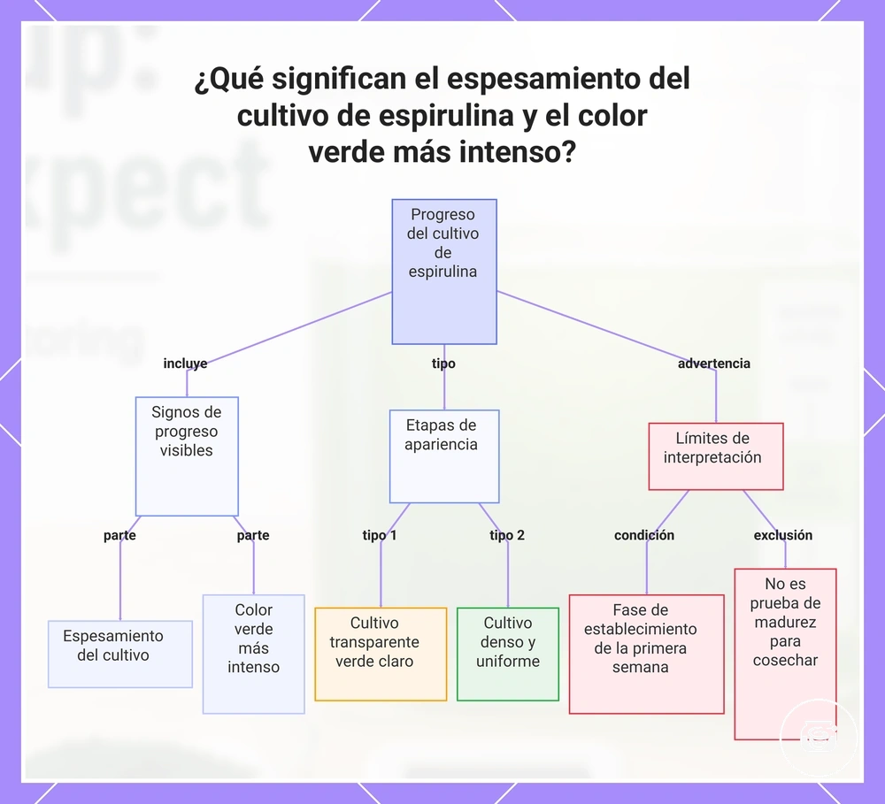¿Qué significan el espesamiento del cultivo de espirulina y el color verde más intenso?