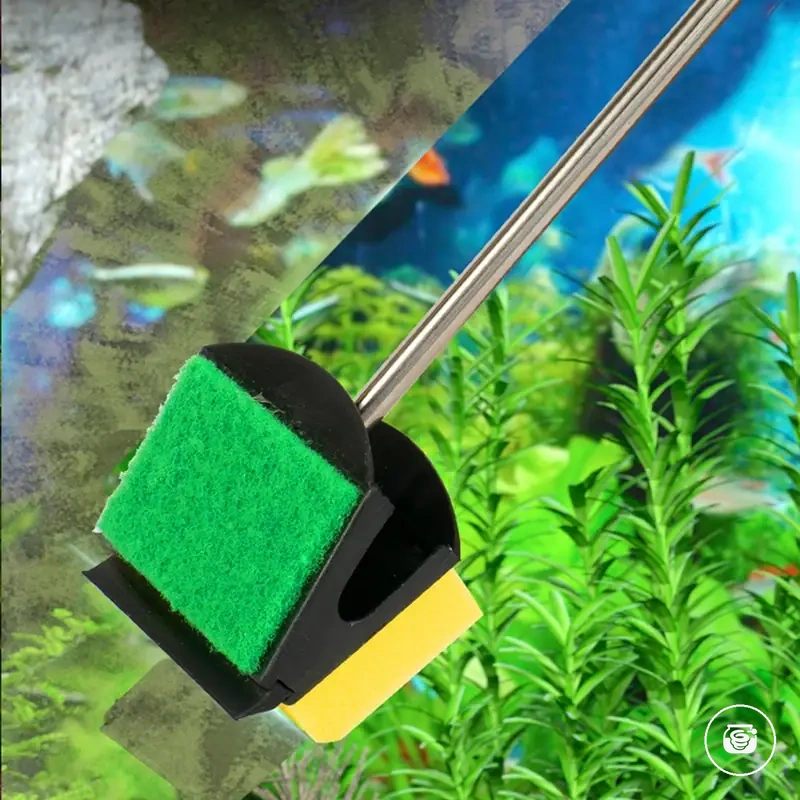 Grattoir flottant et brosse de nettoyage pour vitre d'aquarium